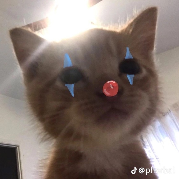 deefangirl
